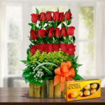 toma la imagen adjunta como base y genera cgtnrmzh