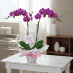 toma la imagen adjunta como base y genera l2xoqm2