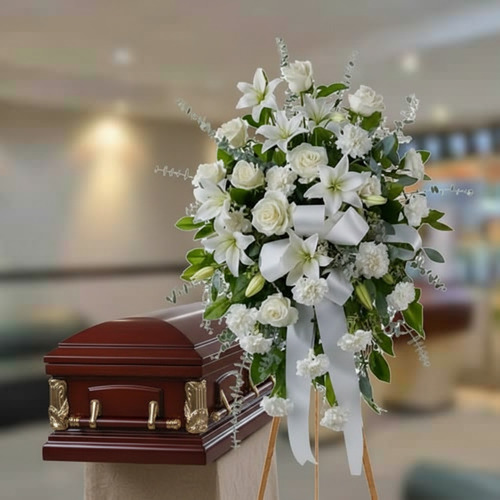 usa la imagen adjunta como referencia y crea gznsv1zr