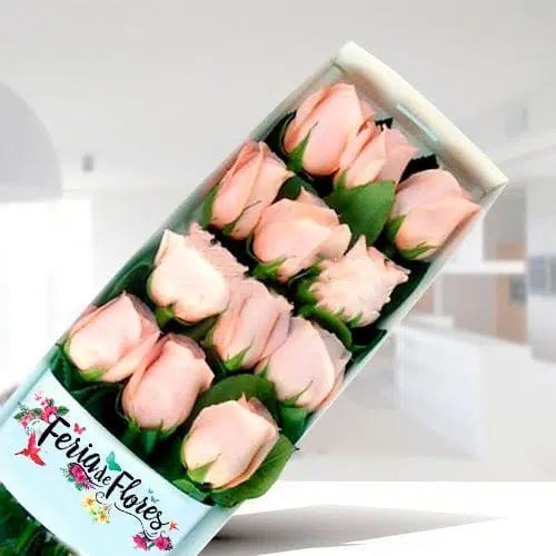 Caja de 12 Rosas Rosadas