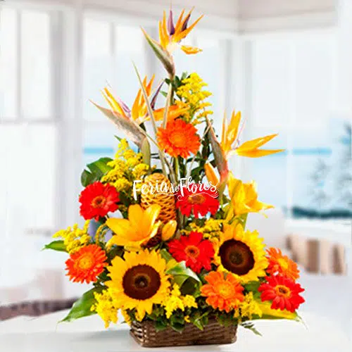 Columba Exotic Flower Arrangement