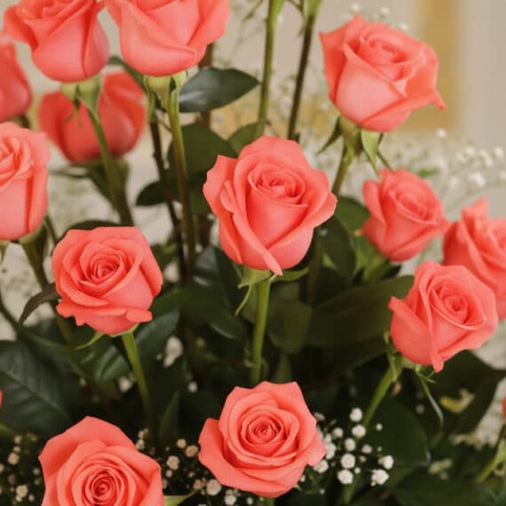 Primer plano extremo de rosas salmón frescas con gotas de rocío, parte del Arreglo Floral ABRAMIO, destacando su textura y co