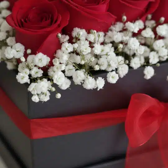 Primer plano extremo de un arreglo floral 'Pétalos' con rosas rojas vibrantes y paniculata blanca, mostrando texturas hiperre