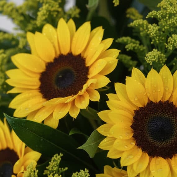 Primer plano extremo de girasoles vibrantes con gotas de rocío, destacando la textura hiperrealista y la frescura del arreglo