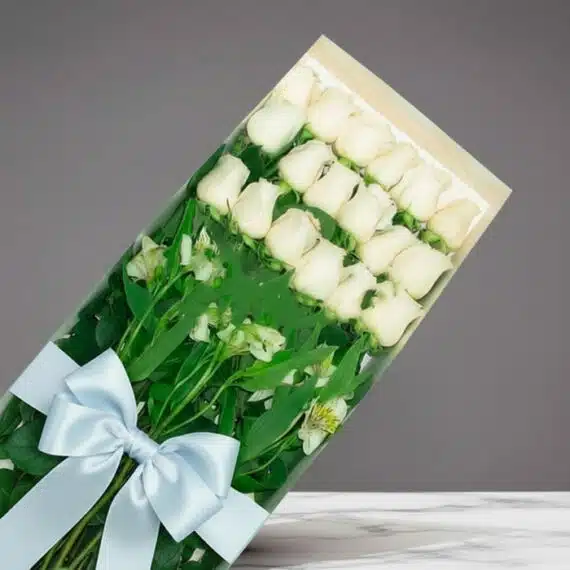 Caja de 18 Rosas Blancas: Elegancia Pura para Regalar Caja de 18 rosas blancas frescas y vibrantes, con follaje verde y un lazo azul claro, sobre un fondo gris elegante. Ideal par