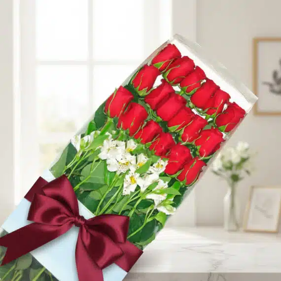 Caja de 18 Rosas Rojas: El Regalo Perfecto para Enamorar Caja de 18 rosas rojas frescas y alstroemerias blancas, con un elegante moño burdeos, sobre una mesa de mármol con fondo difu