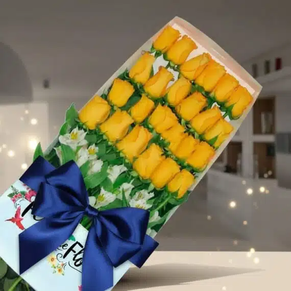 Caja de 24 rosas amarillas frescas y vibrantes, dispuestas elegantemente con follaje blanco, atadas con un lazo azul oscuro,